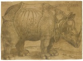 Durer- never saw a rhinoceros