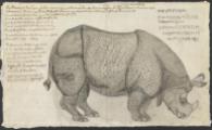 Rhino in the Peshwa's Menagerie at Poona 1790